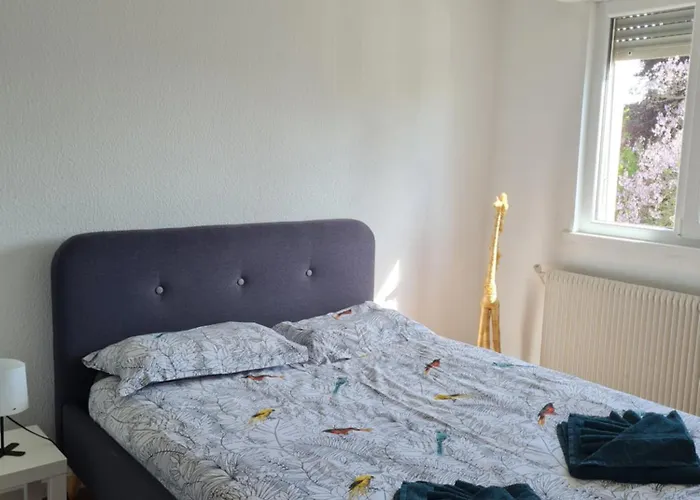 Appartement Classe 3 Etoiles, Parking Gratuit, Proche Centre-Ville