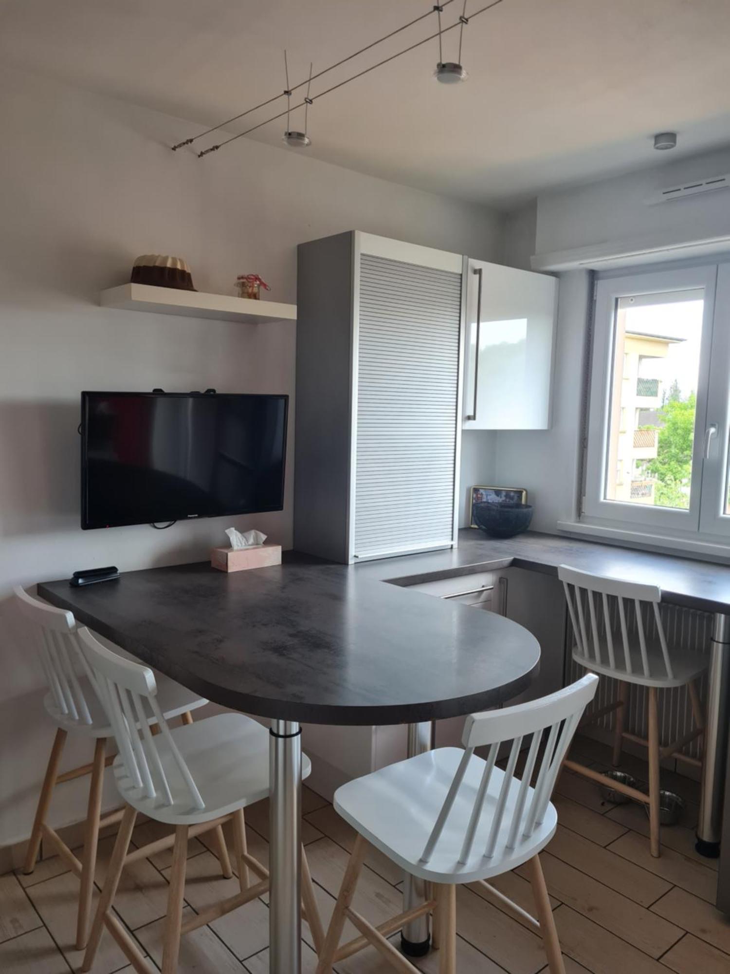 Appartement Classe 3 Etoiles, Parking Gratuit, Proche Centre-ville Colmar